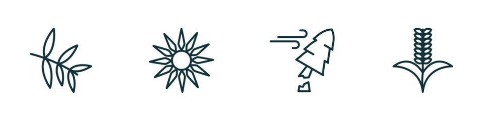 set of 4 linear icons from nature concept. outline icons included willow leaf, sol, damaged, grains vector