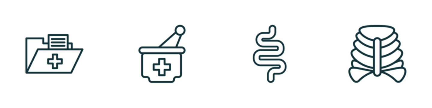set of 4 linear icons from medical concept. outline icons included medical results folders, medicines bowl, intestines, sternum vector