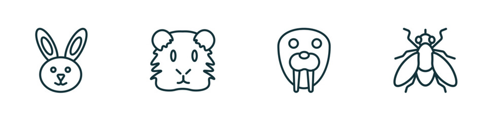 set of 4 linear icons from animals concept. outline icons included rabbit, guinea pig heag, walrus, fly vector