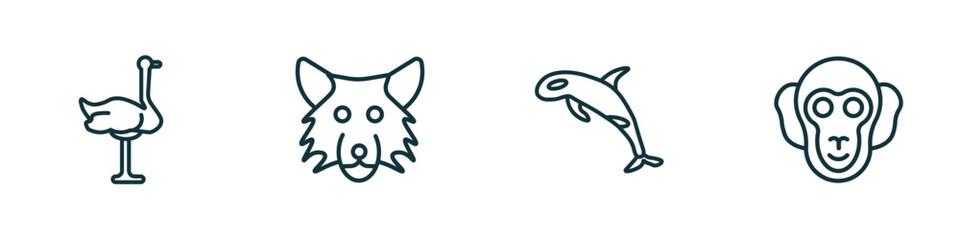 set of 4 linear icons from animals concept. outline icons included ostrich, wolf, grampus, chimpanzee vector