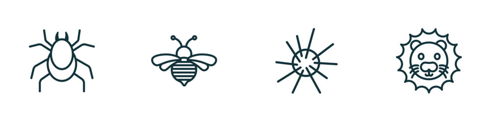 set of 4 linear icons from animals concept. outline icons included mite, bee, sea urchin, lion vector