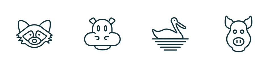 set of 4 linear icons from animals concept. outline icons included racoon, hippopotamus, pelican, pig vector