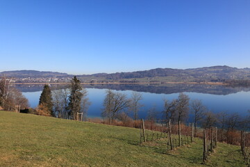 Blick auf den Pfäffikersee im Kanton Zürich in der Schweiz	