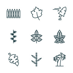 set of 9 linear icons from nature concept. outline icons such as fences, gooseberry leaf, damaged, leaf monstera, bamboo sticks, coconut tree standing vector