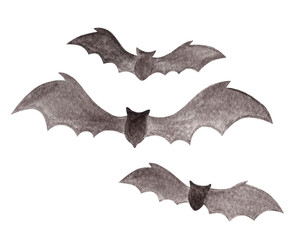 Fototapeta premium Watercolor dark black textured bat slilhuettes isolated on white background.Halloween design element