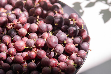 Gooseberries in a plate on the table. Vitamin summer food. Berry harvest top view. Pink berries on white background with shadow.