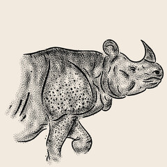 rhino illustration