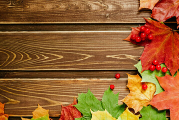 autumn background with colored leaves on wooden board. A place for your text. Frame angle
