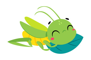 Cute Green Grasshopper Character Lying on Leaf Vector Illustration