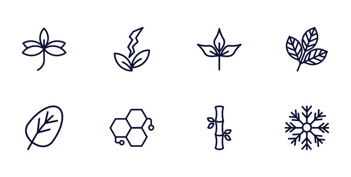 set of nature thin line icons. nature outline icons such as sprig with five leaves, natural energy, rowan leaf, orbicular, chemical structure, bamboo sticks, big snowflake vector.