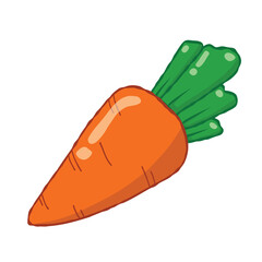 carrot isolated illustration on white background