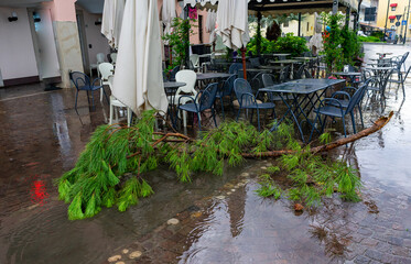 Storm with heavy rain and fallen branches