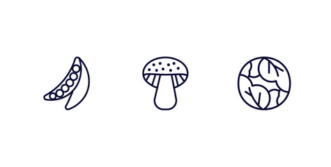 set of vegetables and fruits thin line icons. vegetables and fruits outline icons included peas, mushroom, cabbage vector.