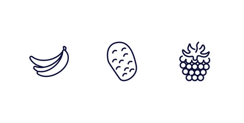 set of vegetables and fruits thin line icons. vegetables and fruits outline icons included banana, potato, blackberry vector.