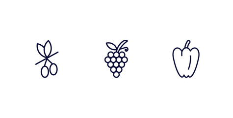set of vegetables and fruits thin line icons. vegetables and fruits outline icons included olive, grapes, paprika vector.