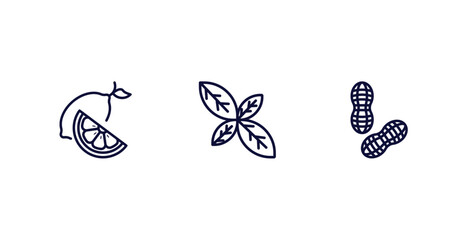 set of vegetables and fruits thin line icons. vegetables and fruits outline icons included lemon, basil, peanut vector.