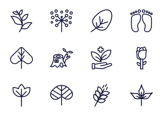 set of nature thin line icons. nature outline icons such as willow leaf, pollen, apricot leaf leaf, _icon19_, linden sassafras reniform, grains vector.