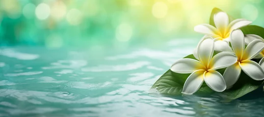 Fotobehang Plumeria flowers on green leaf floating on water. A peaceful and serene scene with a touch of nature and beauty. Suitable for tropical, spa, or relaxation themes. © Andrey