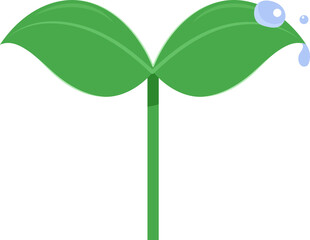 fresh green young plants