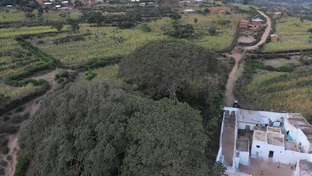 Aerial view of muslim holy site in the countryside Harar Ethiopia