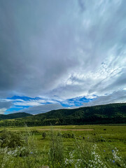 Awesome Carpathian mountains landscape background with forest and clouds on the summer season  