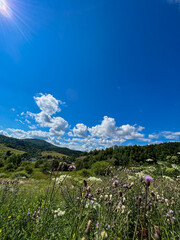 Awesome Carpathian mountains landscape background with forest and clouds on the summer season  