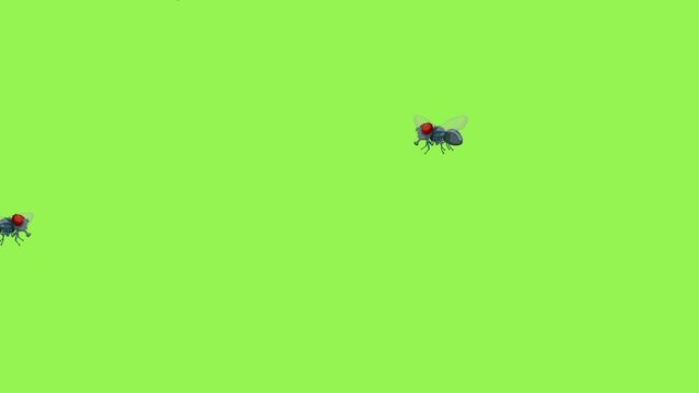 Cartoon flies flying against a green screen background.