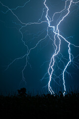 Detailed capture of a lightning bolt hitting the earth