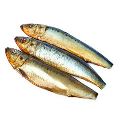 Iwashi cold smoked isolated on white background