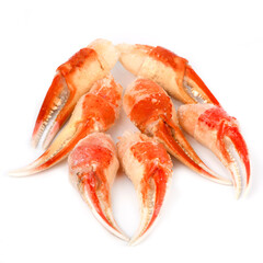 Opilio snow crab fist with claw on white background