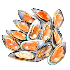 Green mussels in a half shell on a white background