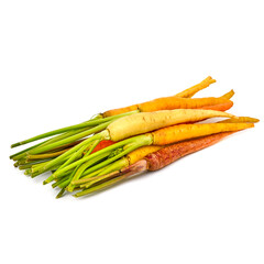 Carrot mini rainbow on white background