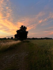 Sonnenuntergang im Gr&uuml;nen