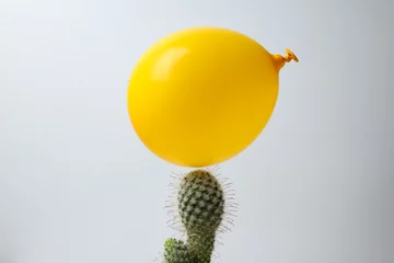 Fotobehang Yellow balloon and cactus on white background © Atlas