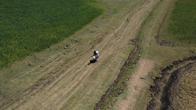 Aerial view of man riding a horse in the highlands AmharaWeldiya Ethiopia