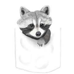 a little raccoon on a white pocket © Ery