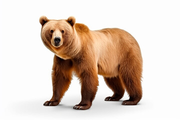 Brown bear on a white, isolated background. AI generated.