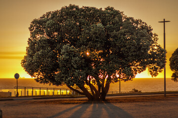 Sombra ao final da tarde
