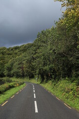Rural road bordered by trees in foliage and lake against backdrop of grey overcast skies