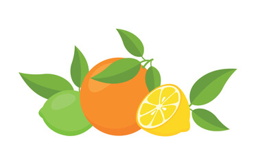 lime, orange and lemon with leaves, eps 10 format