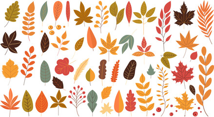 set of autumn leaves, vector collection