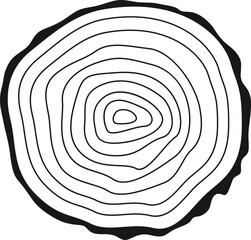 Fototapeta na wymiar Tree Ring Wood Circle