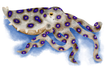 blue ringed octopus