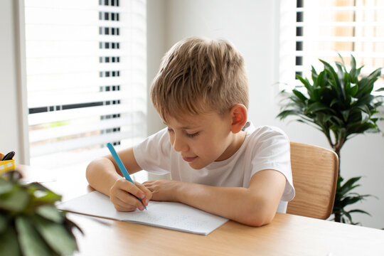 Cute boy doing school homework at home. Distance education. Online education.