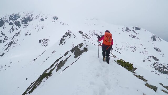 Climber with orange backpack walks with poles on snow covered mountain ridge near peak. Low clouds on rocky, steep winter landscape of Romania.