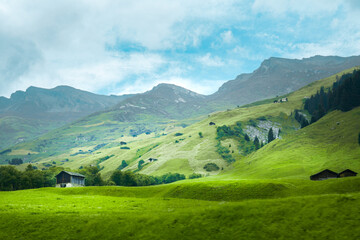 Alpine landscape. View of the Swiss mountains. Wide view of mountain cottages.