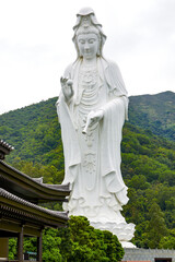 Obraz premium Asia's largest buddhist Guanyin statue at Tsz Shan Monastery in Hong Kong