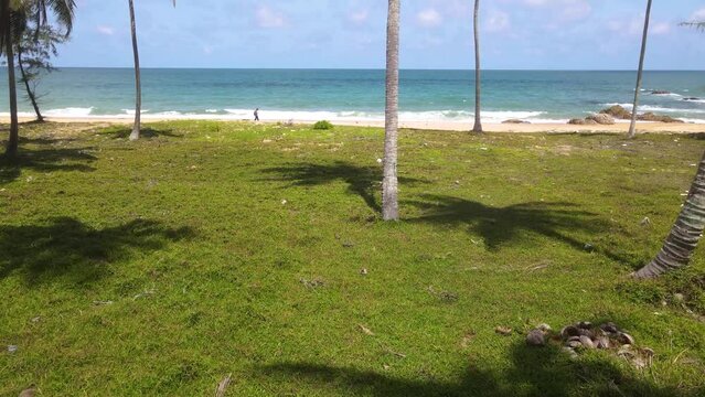 move forword in palm trees and man walk on the on the beach of ocean and sea background