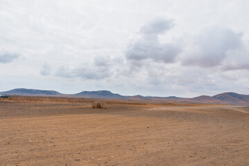 Fototapeta na wymiar Desert landscape of white sand with big white clouds in the sky. Fuerteventura, Canary Islands, Spain