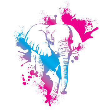 Illustration Elefant mit Verlauf